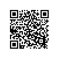 MAXx 与 CHECK 直读光谱仪型号对比与选型建议