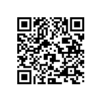 MAXx 与 CHECK 直读光谱仪型号对比与选型建议