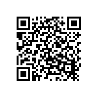 手持式光谱仪揭开名画背后的元素密码